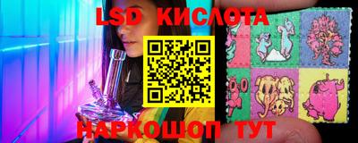 крисы Кингисепп