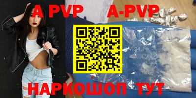 крисы Кингисепп