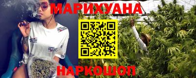 крисы Кингисепп