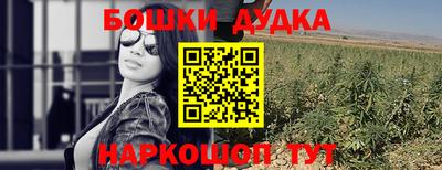 крисы Кингисепп