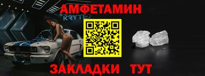 крисы Кингисепп