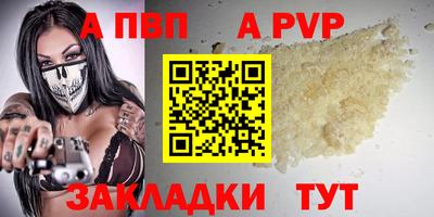 крисы Кингисепп