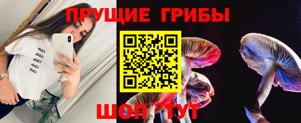 Москва  Галлюциногенные грибы Magic Shrooms  Вход с VPN 