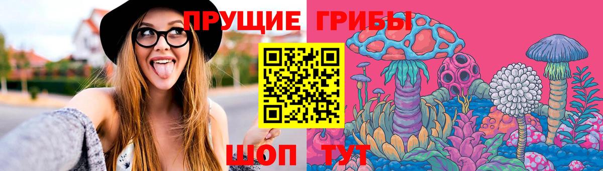 Псилоцибиновые грибы Psilocybe Москва